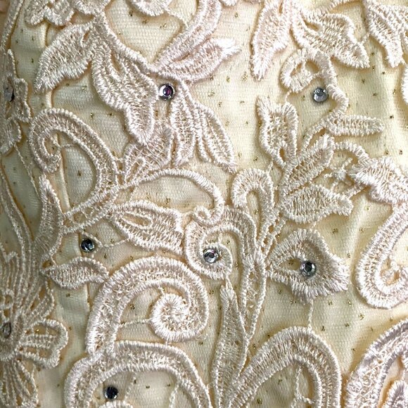 Ivory & Cream Lace & Tulle Short Dress With Rhinestone Accents Size 8 Elegant NW - Picture 8 of 13